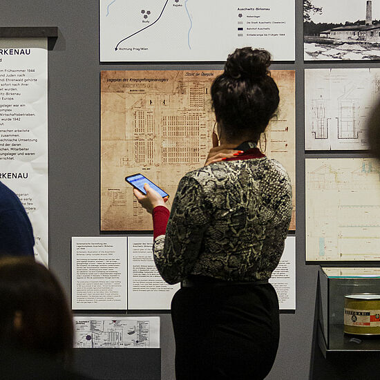 Eine Frau betrachtet ein Ausstellungsobjekt, welches an der Wand hängt und von Informationsschildern umgeben ist.