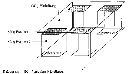 skizze der PE-Blase