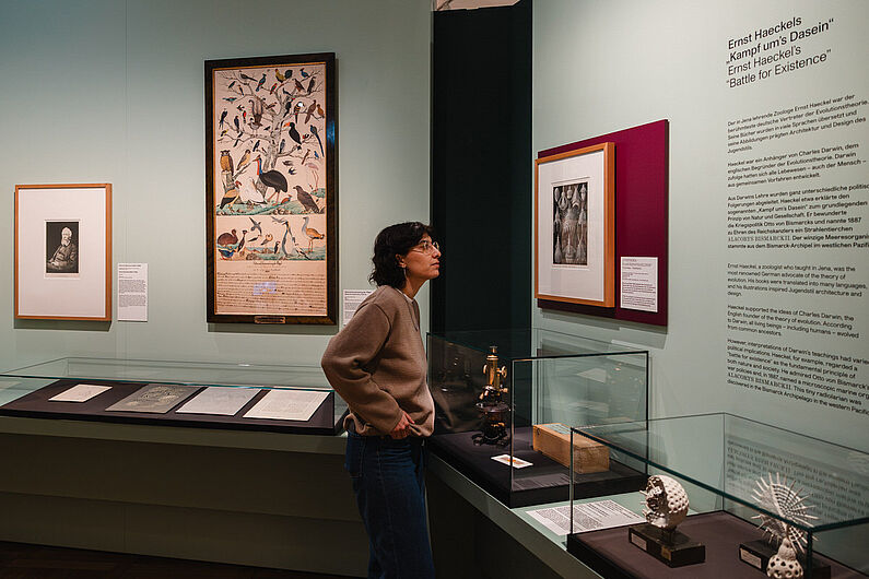In der Ausstellung „Natur und deutsche Geschichte. Glaube – Biologie – Macht” Menschen stehen in einer Ausstellung
