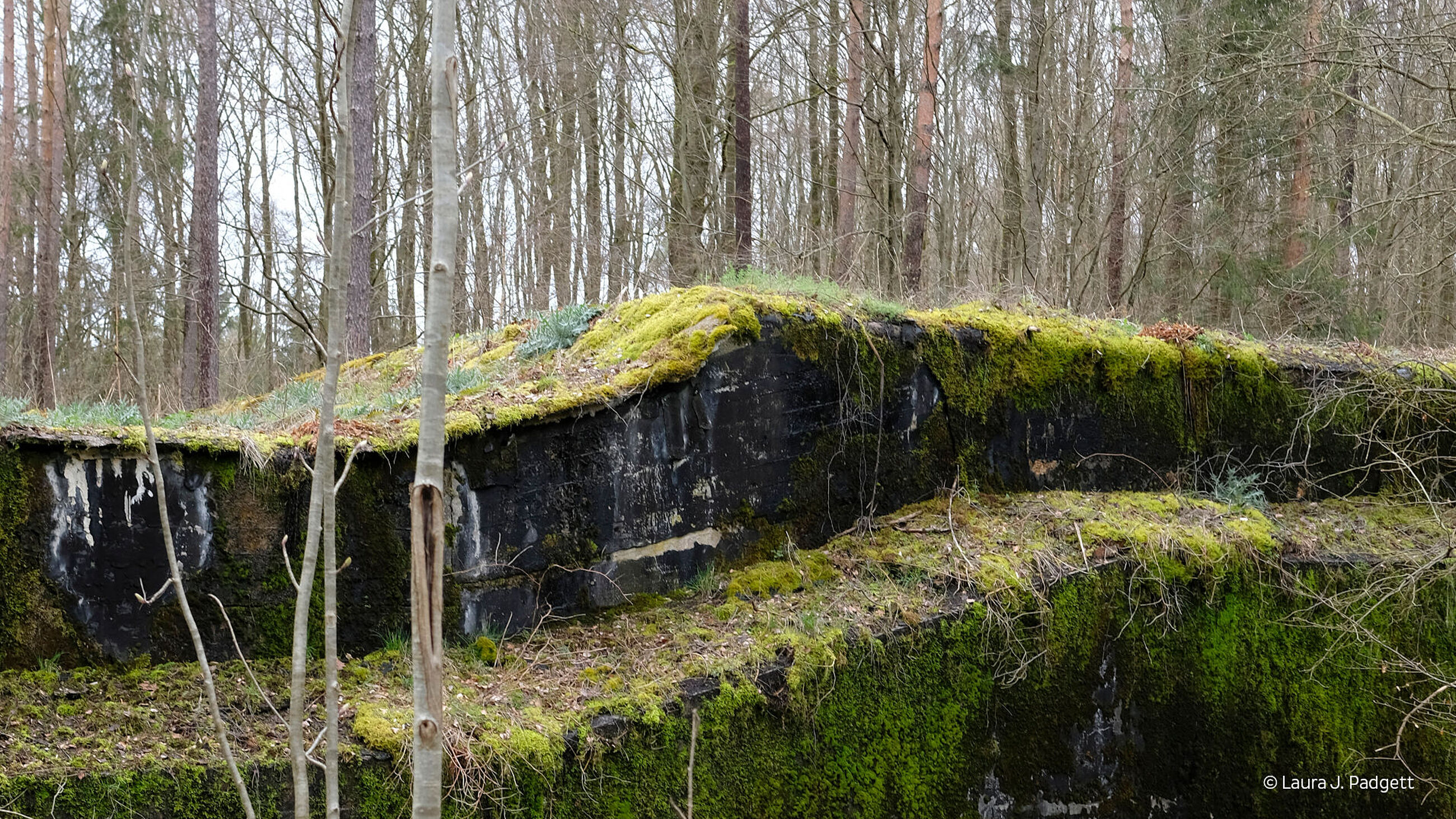 Nature and German History - Deutsches Historisches Museum